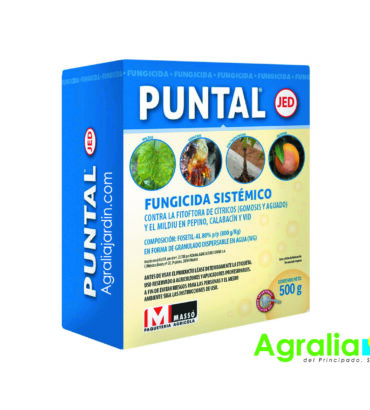 Fungicida Puntal 500 gr