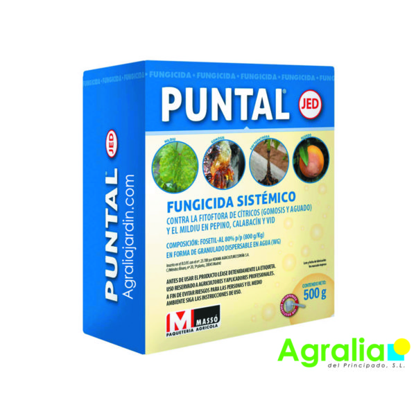 Fungicida Puntal 500 gr