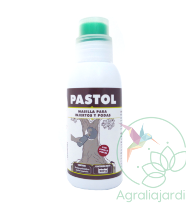 Pastol 250 gr Massó