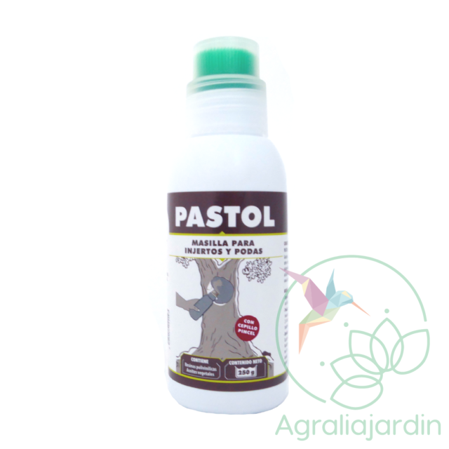 Pastol 250 gr Massó