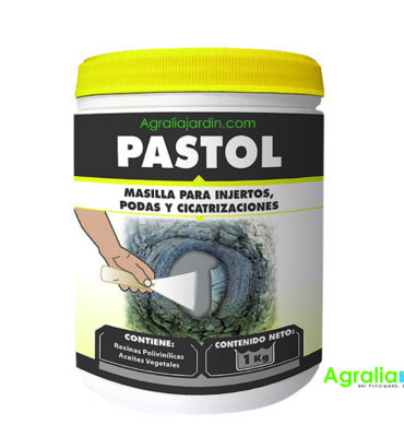 Pastol 1 kg