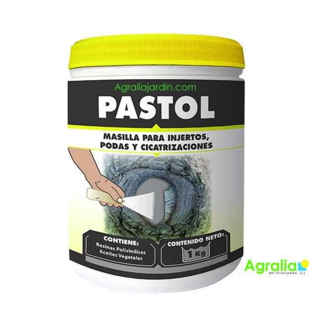 Pastol 1 kg