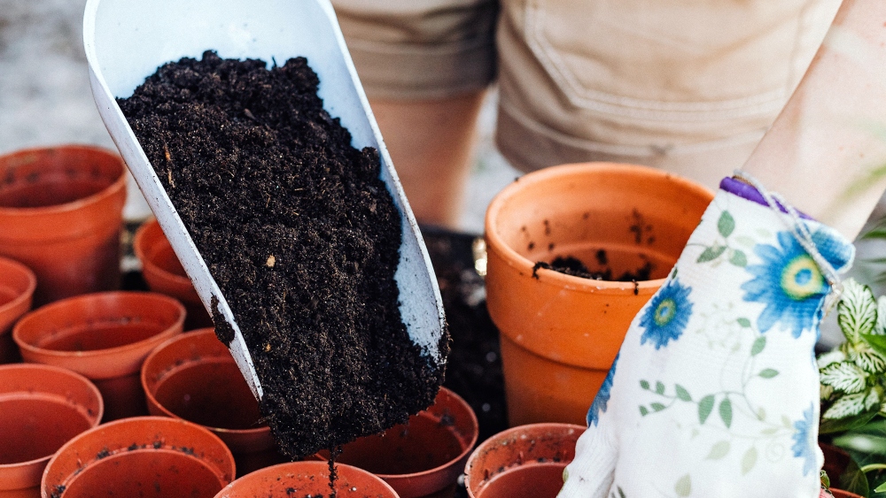 Compost