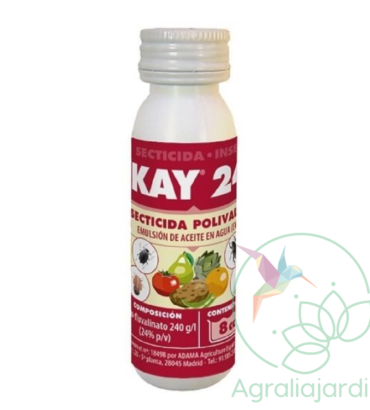Kay 24 8 cc