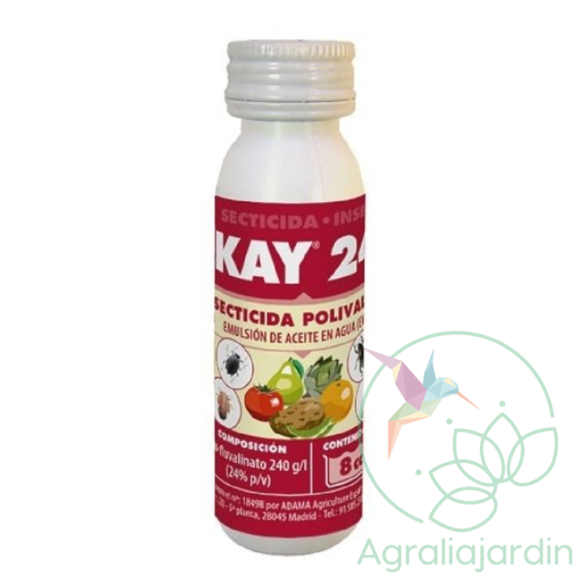 Kay 24 8 cc