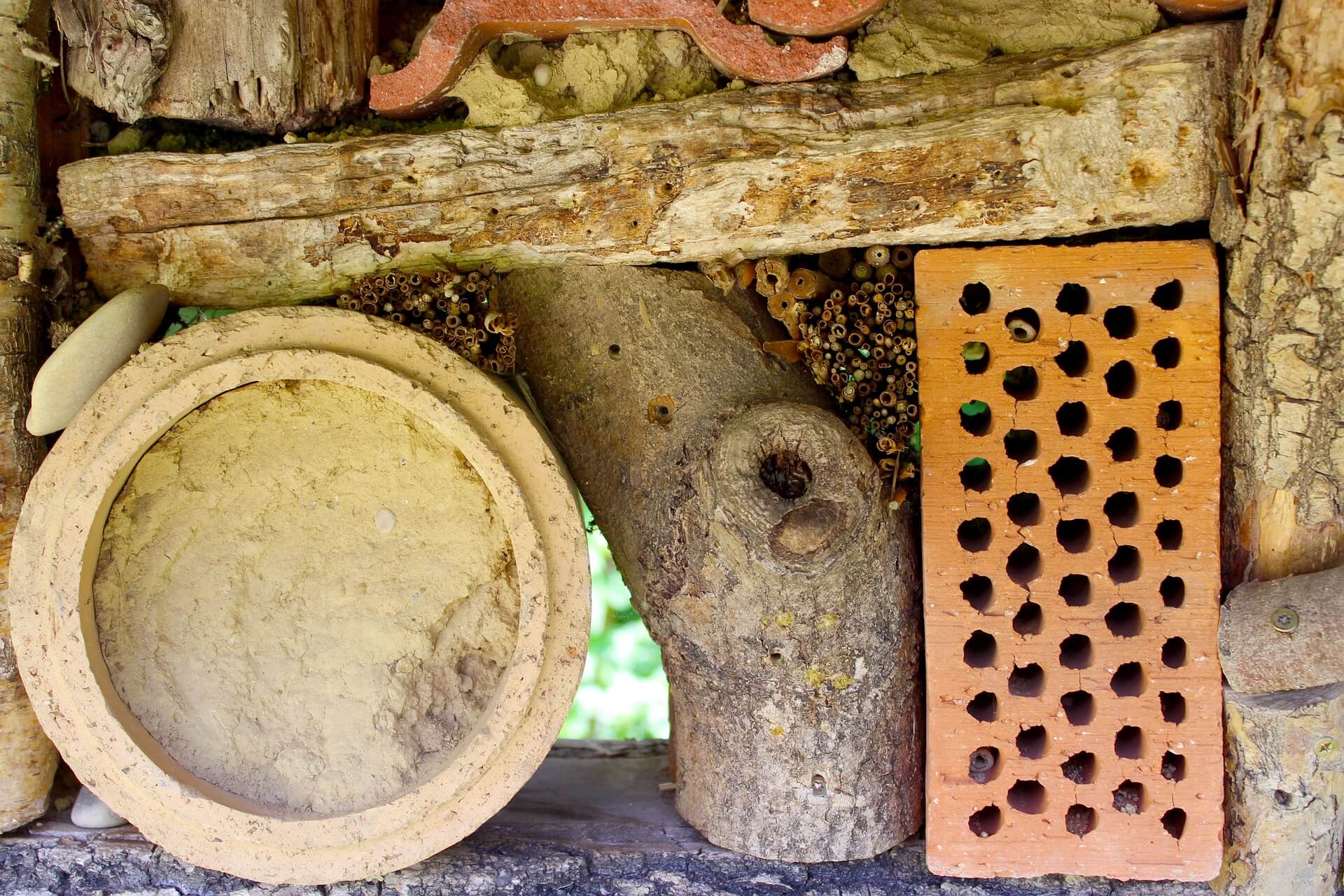 Hotel de insectos