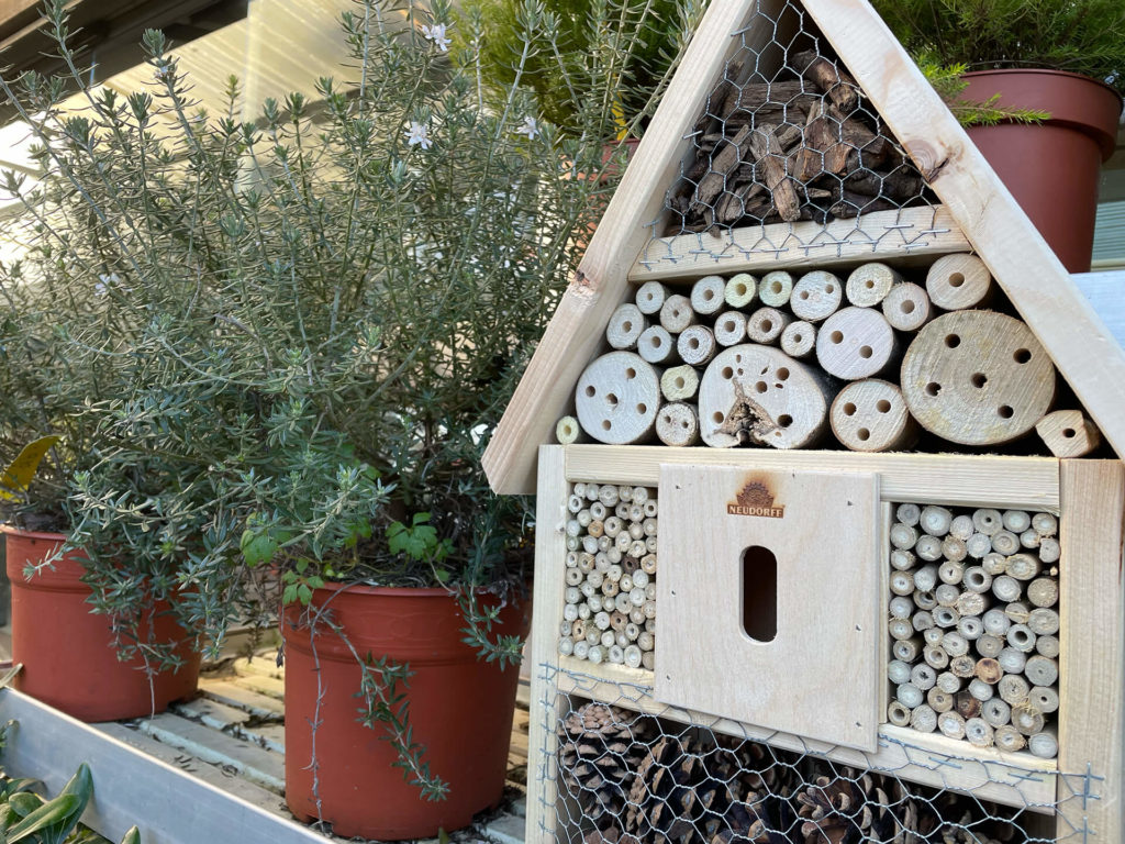 Hotel de insectos