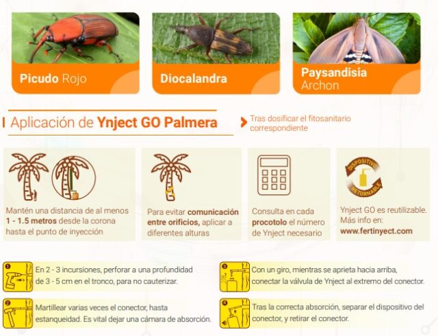 Ynject Go palmera ENDOTERAPIA - Imagen 2