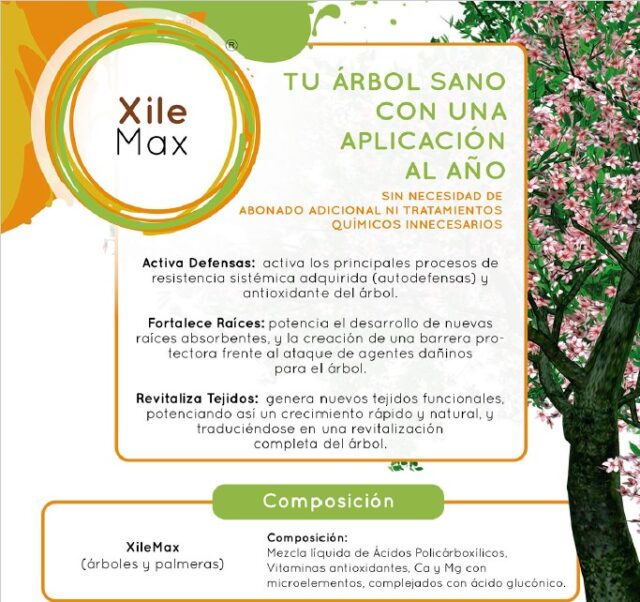 fertinyect xilemax endoerapia