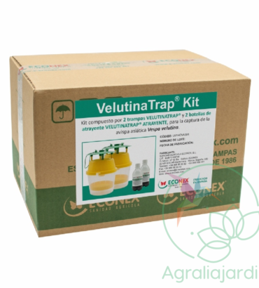 Kit 2 trampas VELUTINATRAP para la captura de la avispa asiática