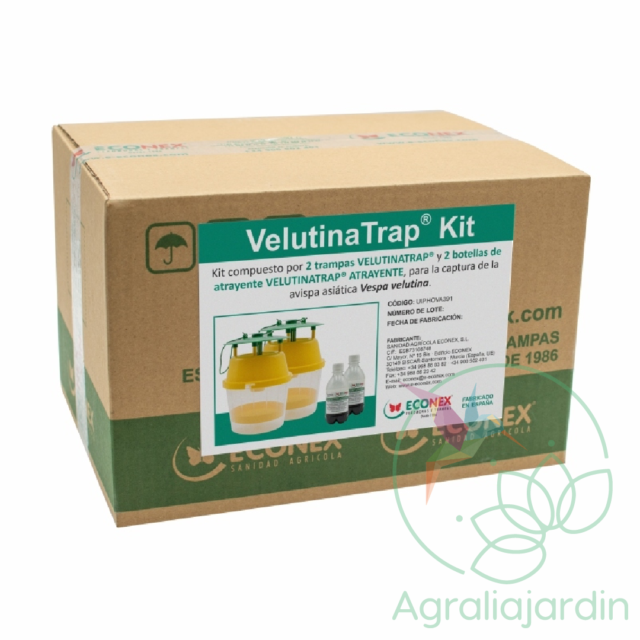 Kit 2 trampas VELUTINATRAP para la captura de la avispa asiática