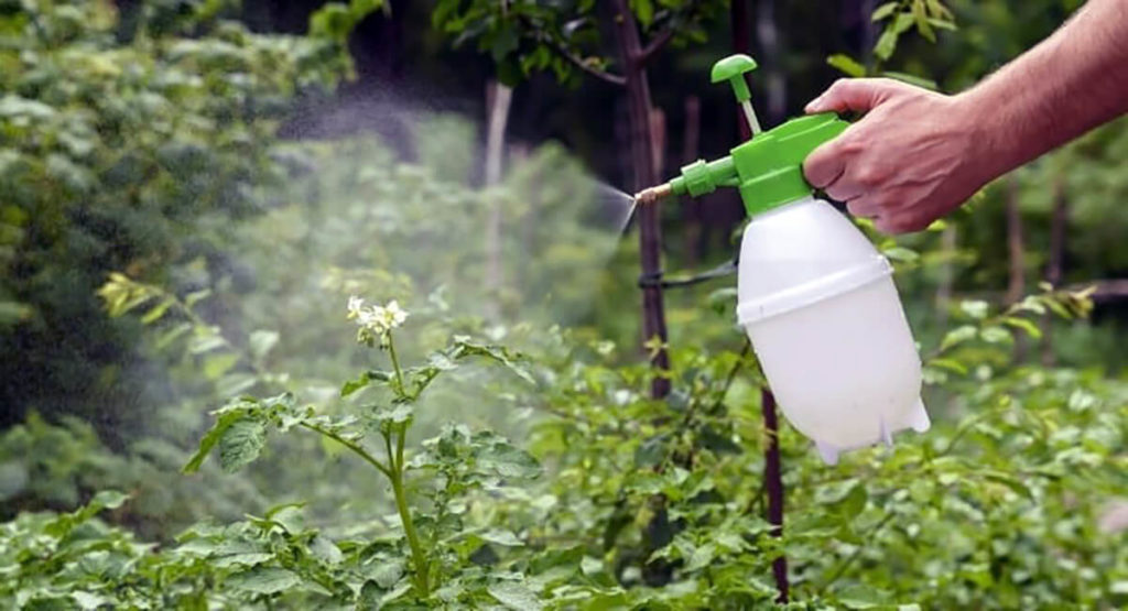 insecticida huerto
