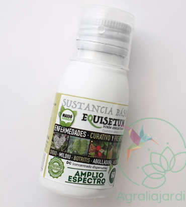 MASSOGREEN Equisetum 60 cc Extracto de cola de caballo