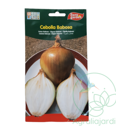 Semilla de cebolla Babosa Eurogarden