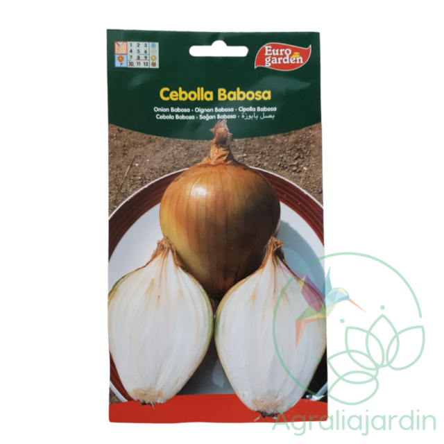 Semilla de cebolla Babosa Eurogarden