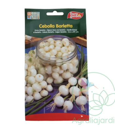 Semilla de cebolla Barletta Eurogarden