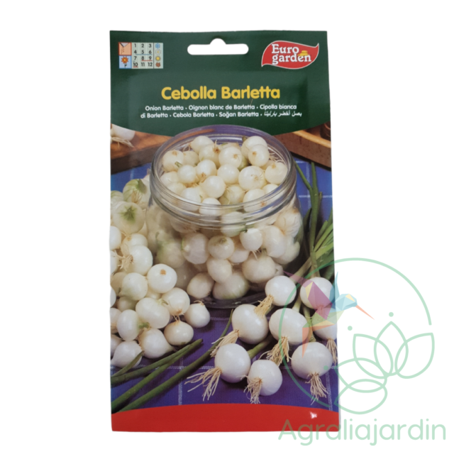 Semilla de cebolla Barletta Eurogarden