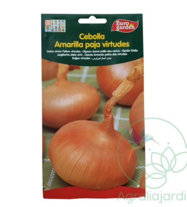 Semilla de cebolla amarilla paja Virtudes Eurogarden