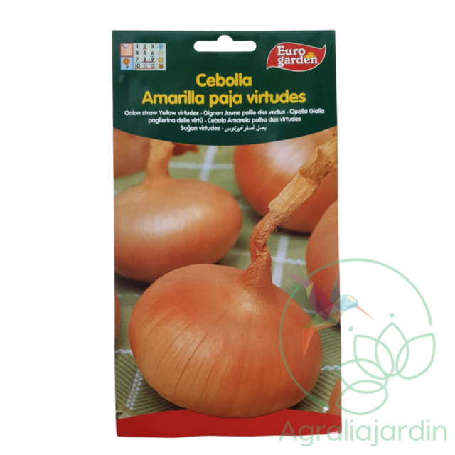 Semilla de cebolla amarilla paja Virtudes Eurogarden