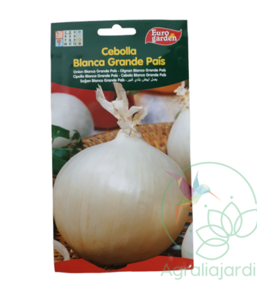 Semilla de cebolla blanca Grande País Eurogarden