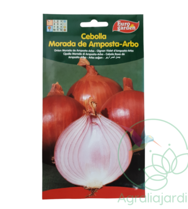 Semilla de cebolla morada de Amposta-Arbo Eurogarden