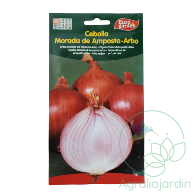 Semilla de cebolla morada de Amposta-Arbo Eurogarden