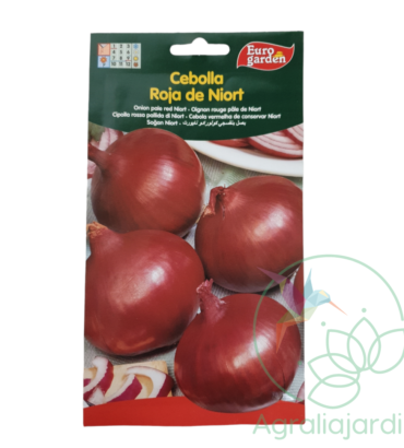 Semilla de cebolla roja de Niort Eurogarden