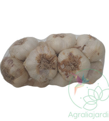 Bulbos de ajo blanco tradicional 500 gr