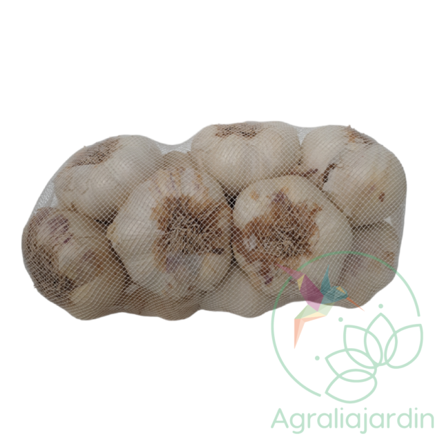 Bulbos de ajo blanco tradicional 500 gr