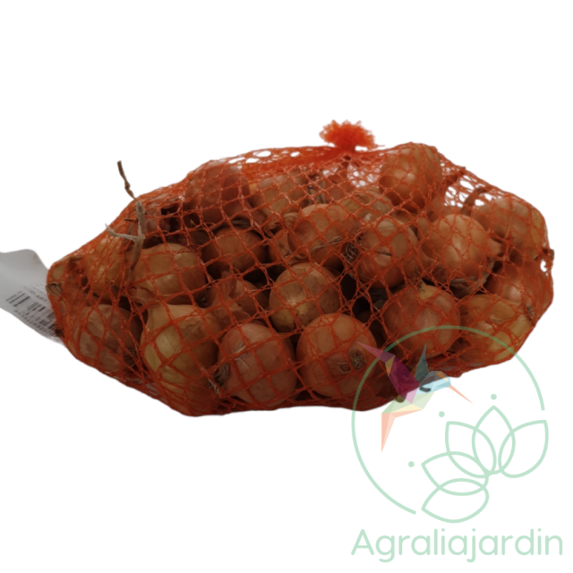 Bulbos de cebolla Stuttgarter 500g