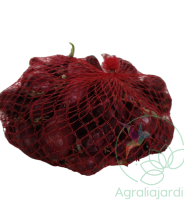 Bulbos de cebolla roja Karmen 500 gr