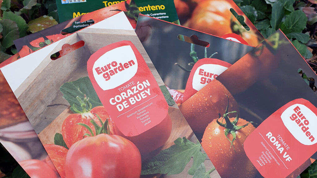 semillero tomate corazón de buey