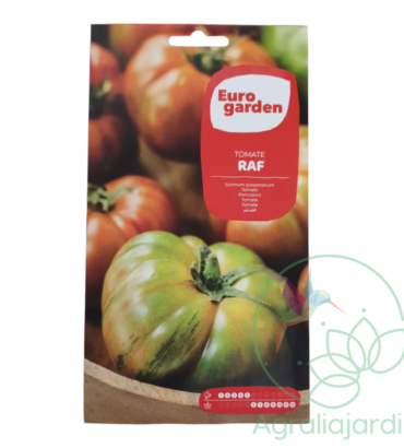 Semilla tomate RAF Eurogarden