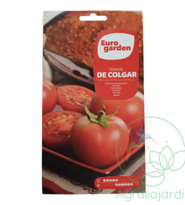 Semilla tomate de colgar Eurogarden