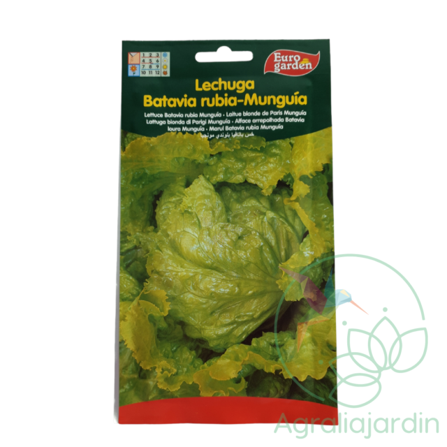 Semilla de lechuga Batavia rubia Munguía Eurogarden