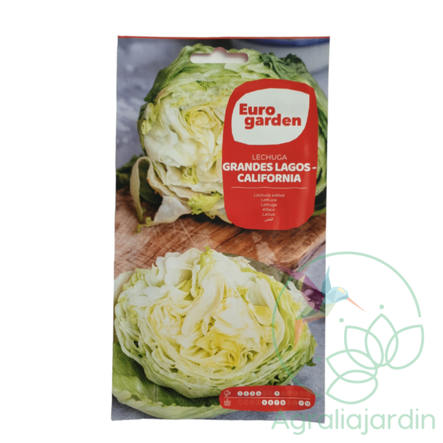 Semilla de lechuga Grandes Lagos California Eurogarden