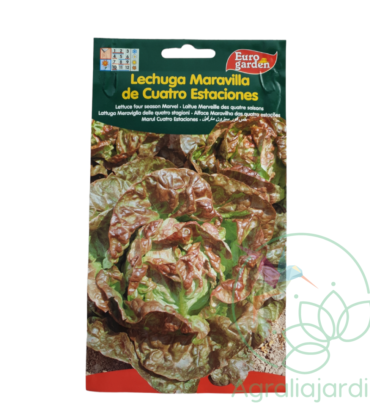 Semilla de lechuga Maravilla de 4 estaciones Eurogarden