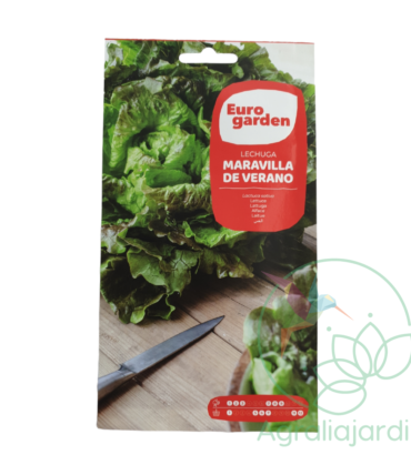 Semilla de lechuga Maravilla de Verano Eurogarden