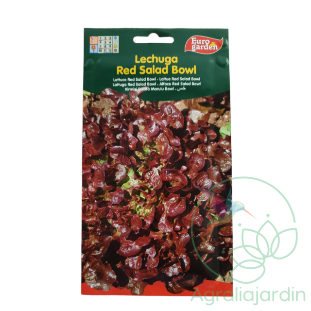 Semilla de lechuga Red Salad Bowl Eurogarden