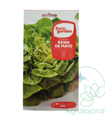 Semilla de lechuga Reina de Mayo Eurogarden