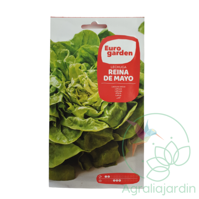 Semilla de lechuga Reina de Mayo Eurogarden