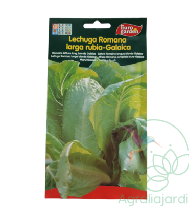 Semillas de lechuga Romana larga rubia Galaica Eurogarden
