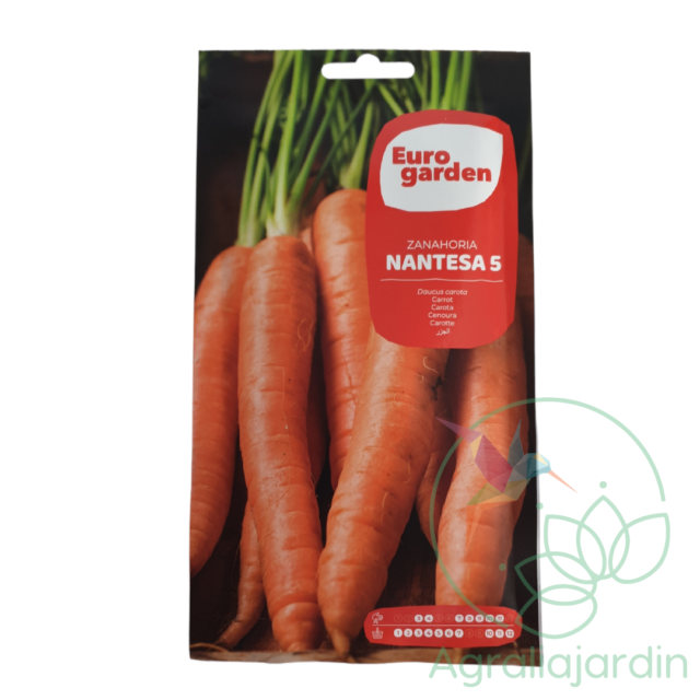 Semilla de zanahoria Nantesa 5 Eurogarden