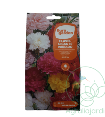Semilla de flor clavel gigante variado Eurogarden
