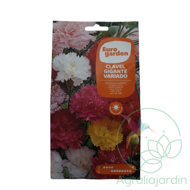 Semilla de flor clavel gigante variado Eurogarden