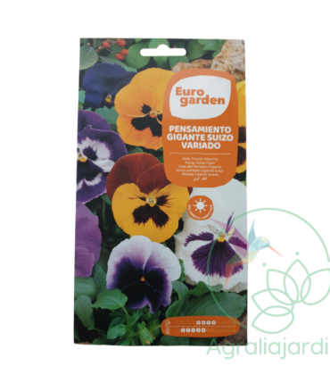 Semilla de flor Pensamiento Gigante Suizo Eurogarden