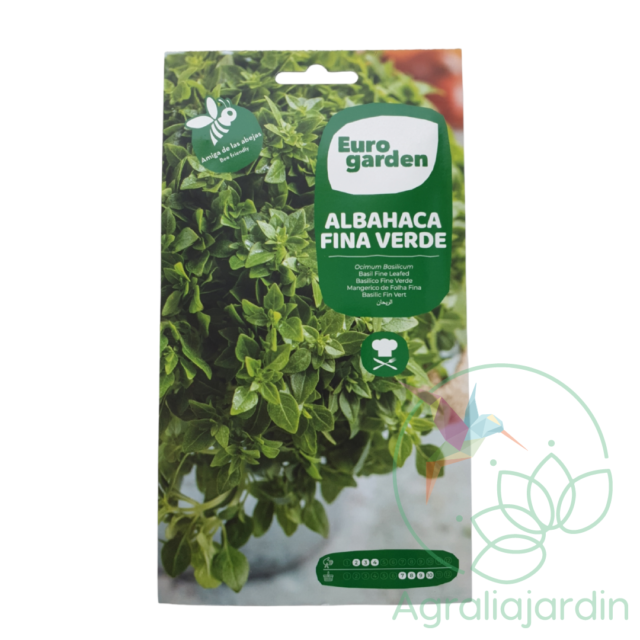 Semilla de albahaca fina verde Eurogarden