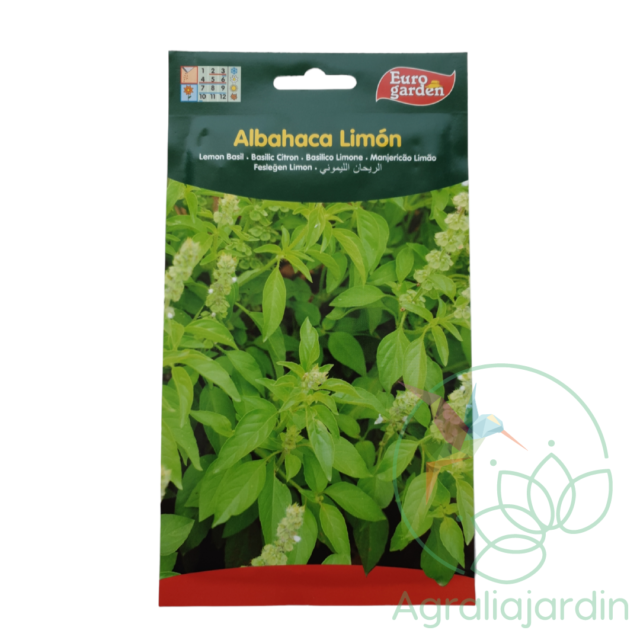 Semilla de albahaca limón Eurogarden