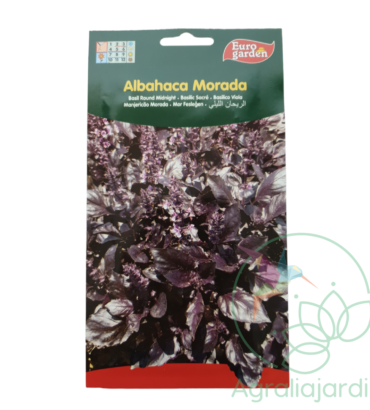 Semilla de albahaca morada Eurogarden