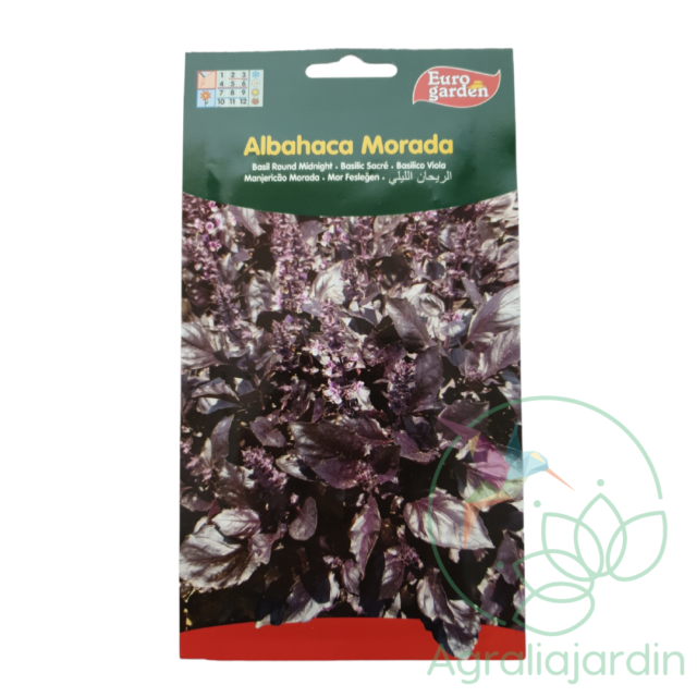 Semilla de albahaca morada Eurogarden